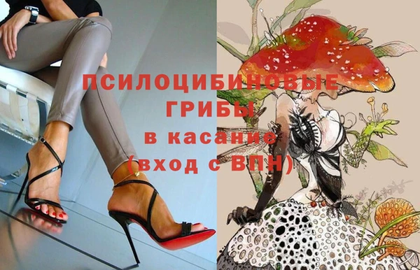 соль курить ск Алзамай