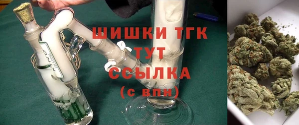 МДПВ Абаза